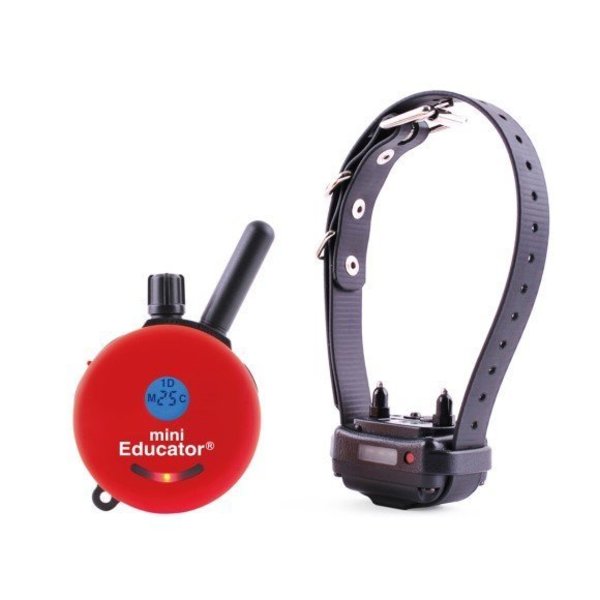 ET-300 MINI EDUCATOR 1/2 MILE REMOTE E-COLLAR - RED | WorkingDogsDirect
