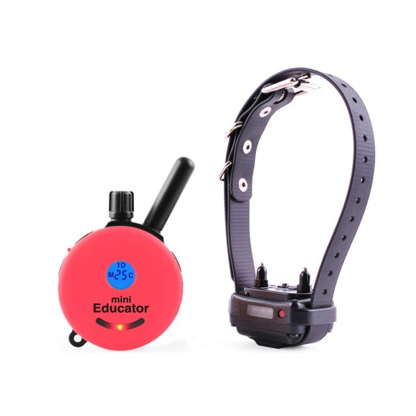 ET-300 MINI EDUCATOR 1/2 MILE REMOTE E-COLLAR - PINK | WorkingDogsDirect