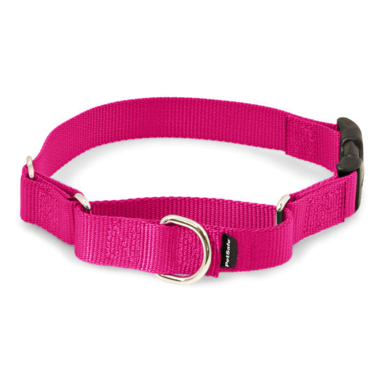 Martingale Collars with Quick Snap Buckle - Raspberry | WorkingDogsDirect