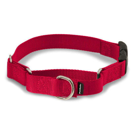 Martingale Collars with Quick Snap Buckle - Red | WorkingDogsDirect