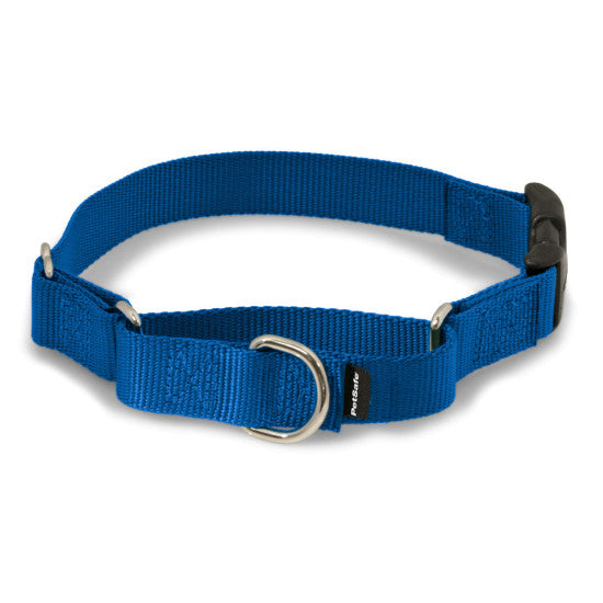 Martingale Collars with Quick Snap Buckle - Royal Blue | WorkingDogsDirect