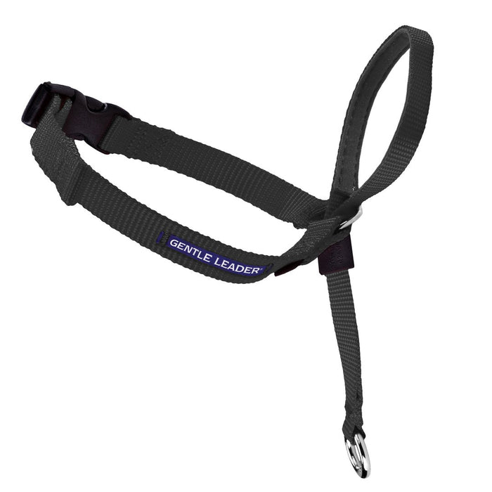 Gentle Leader Headcollar No-Pull Dog Collar - Black | WorkingDogsDirect
