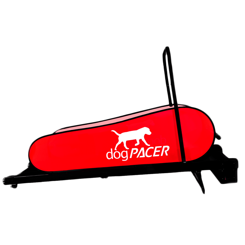 dogPACER LF 3.1 Treadmill