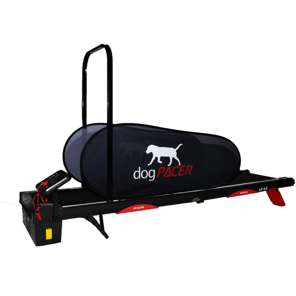 dogPACER 4.0 - Bluetooth Edition