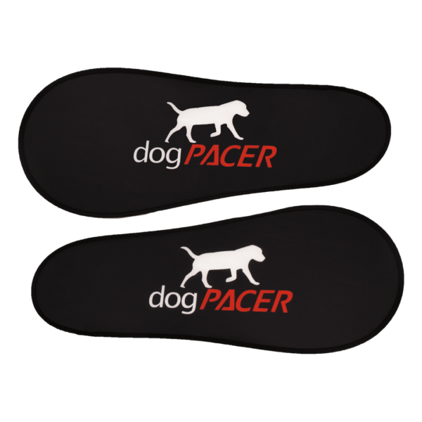 dogPACER 4.0 - Bluetooth Edition