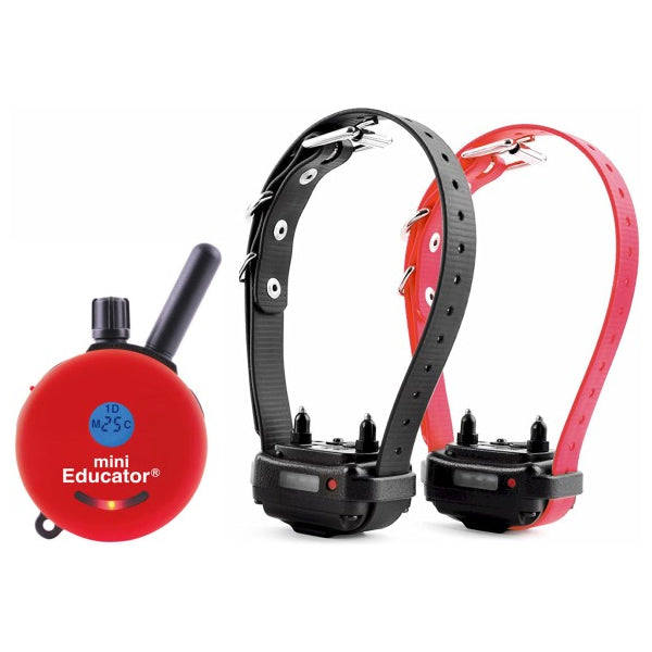 ET 302 2 DOG MINI EDUCATOR - RED | WorkingDogsDirect