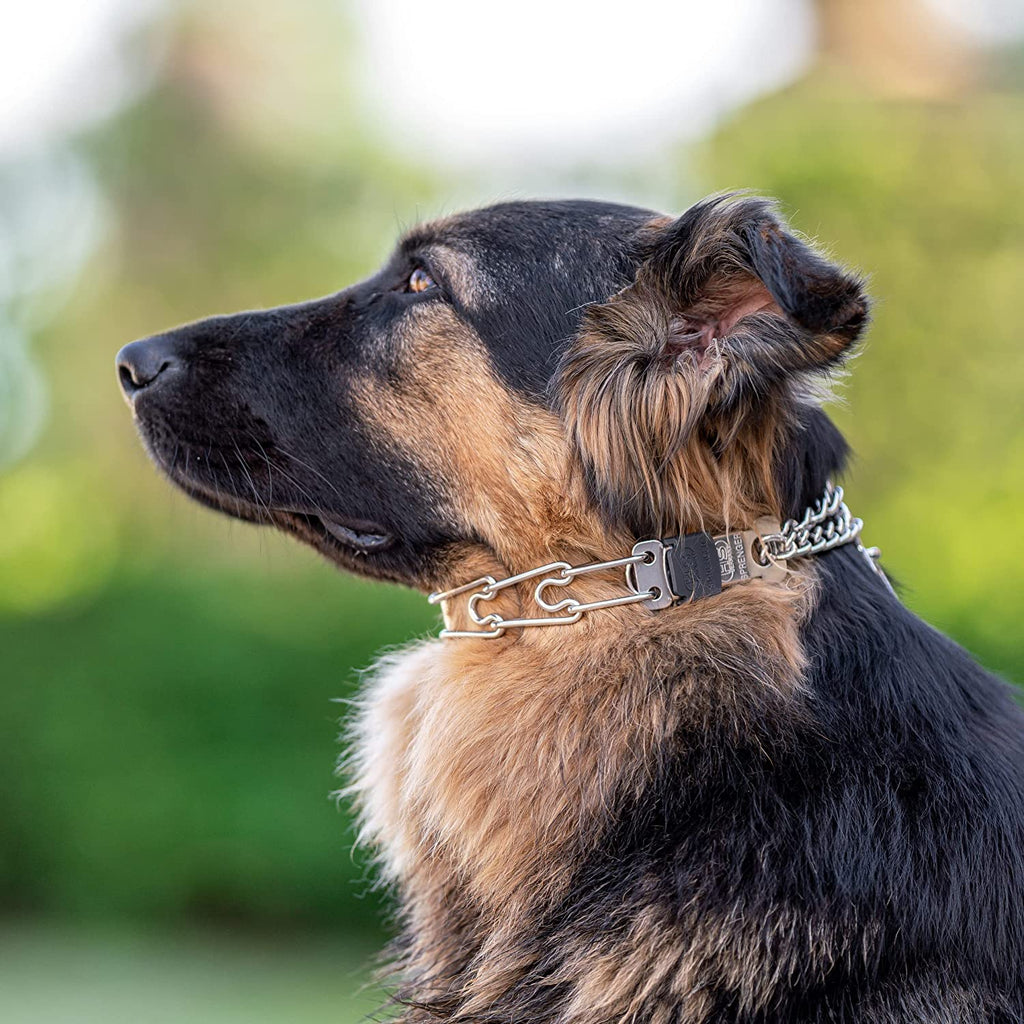 HERM SPRENGER Stainless Steen Training Collar with Center-Plate, Assembly Chain & ClicLock