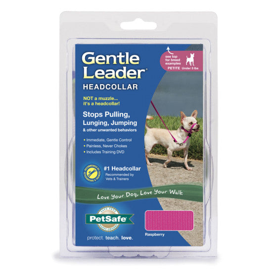 Gentle Leader Headcollar No-Pull Dog Collar - Raspberry | WorkingDogsDirect