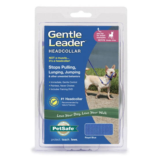 Gentle Leader Headcollar No-Pull Dog Collar - Royal Blue | WorkingDogsDirect