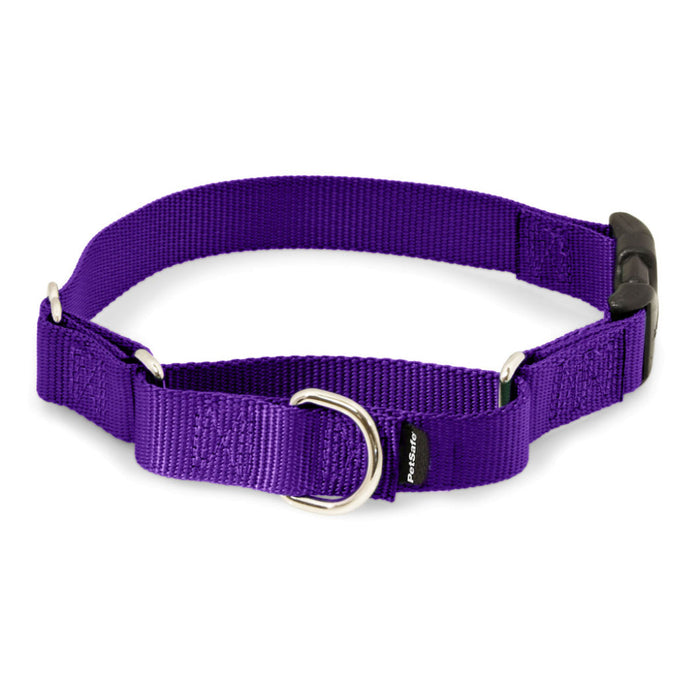 Martingale Collars with Quick Snap Buckle - Deep Purple | WorkingDogsDirect