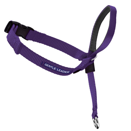 Gentle Leader Headcollar No-Pull Dog Collar - Deep Purple | WorkingDogsDirect