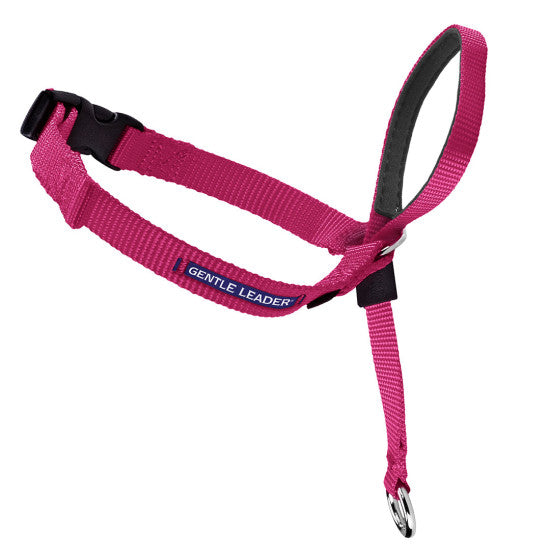 Gentle Leader® Headcollar, No-Pull Dog Collar