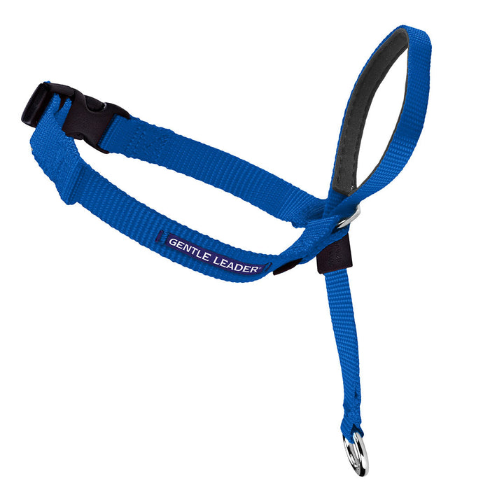 Gentle Leader Headcollar No-Pull Dog Collar - Royal Blue | WorkingDogsDirect